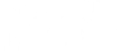 Silent House