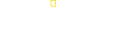 Witness to Disaster