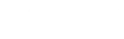 The Dynasty: New England Patriots