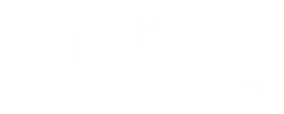 The Rink