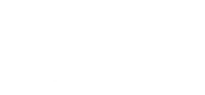 Secret Service