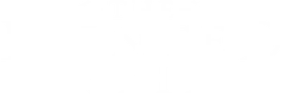 Il velo dipinto