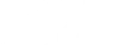 The Net