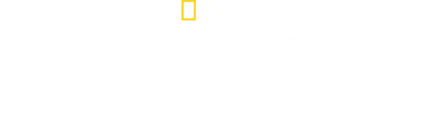 I segreti delle api