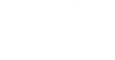The Dink