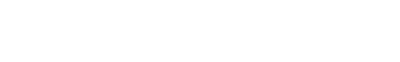 Il debito