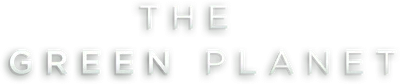 Pianeta verde