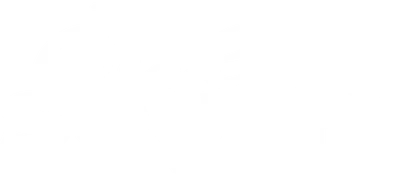 Due South