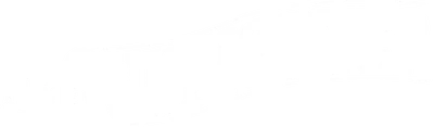 The Gunfighter