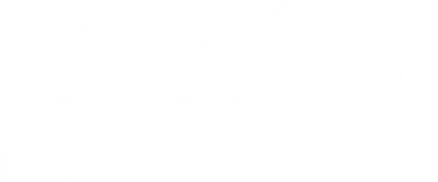 Donkey Skin