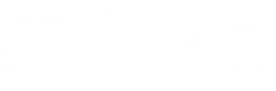 Snakes on a Plane