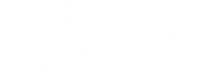 Bruce Lee: The Legend