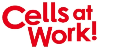 Cells At Work!