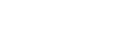 Ms .45