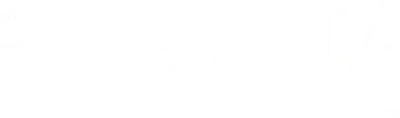 Ink