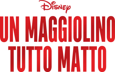 Un maggiolino tutto matto