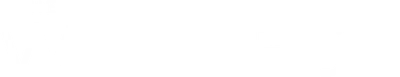 The Witness